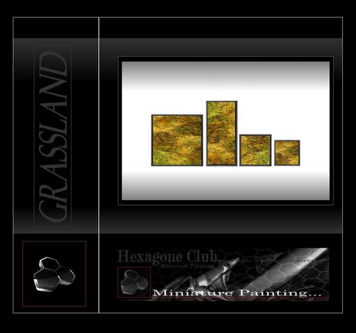 Cliquez pour agrandir l'image Cliquez pour agrandir l'image